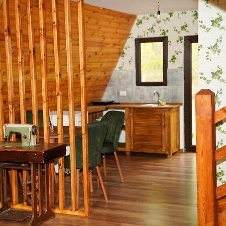 Artarica Villa Calugarenii  Dış mekan fotoğraf