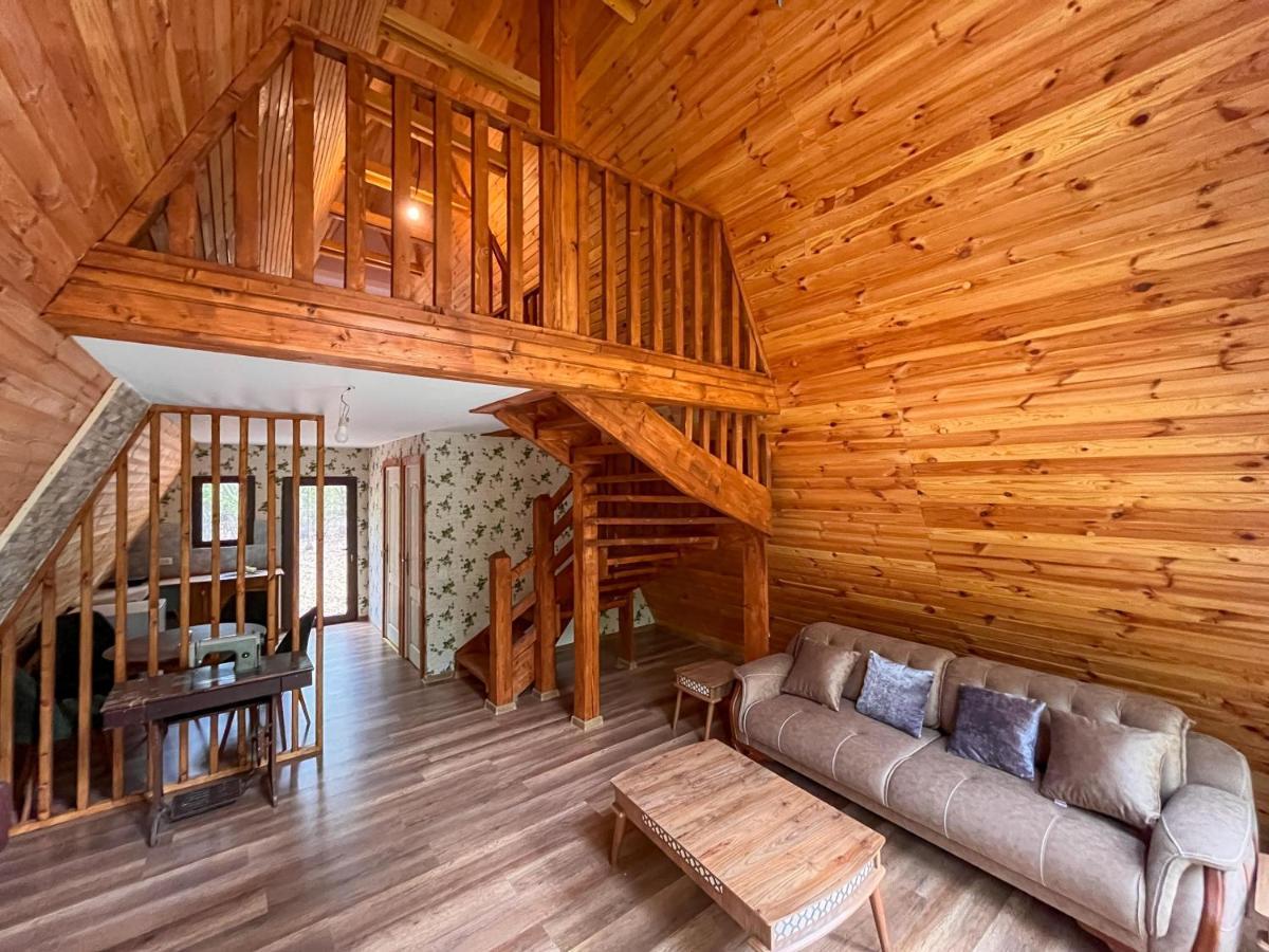 Artarica Villa Calugarenii  Dış mekan fotoğraf