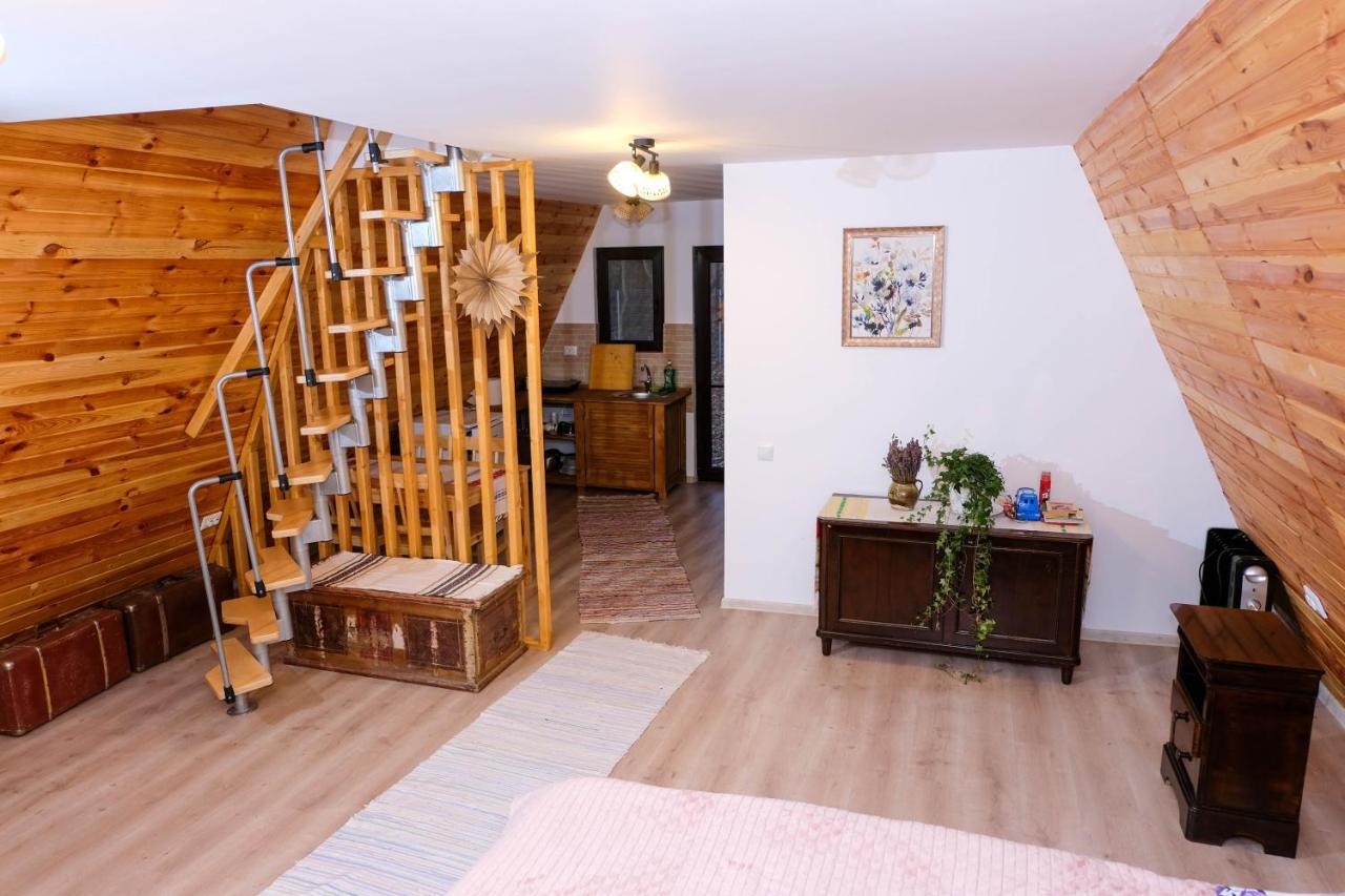 Artarica Villa Calugarenii  Dış mekan fotoğraf