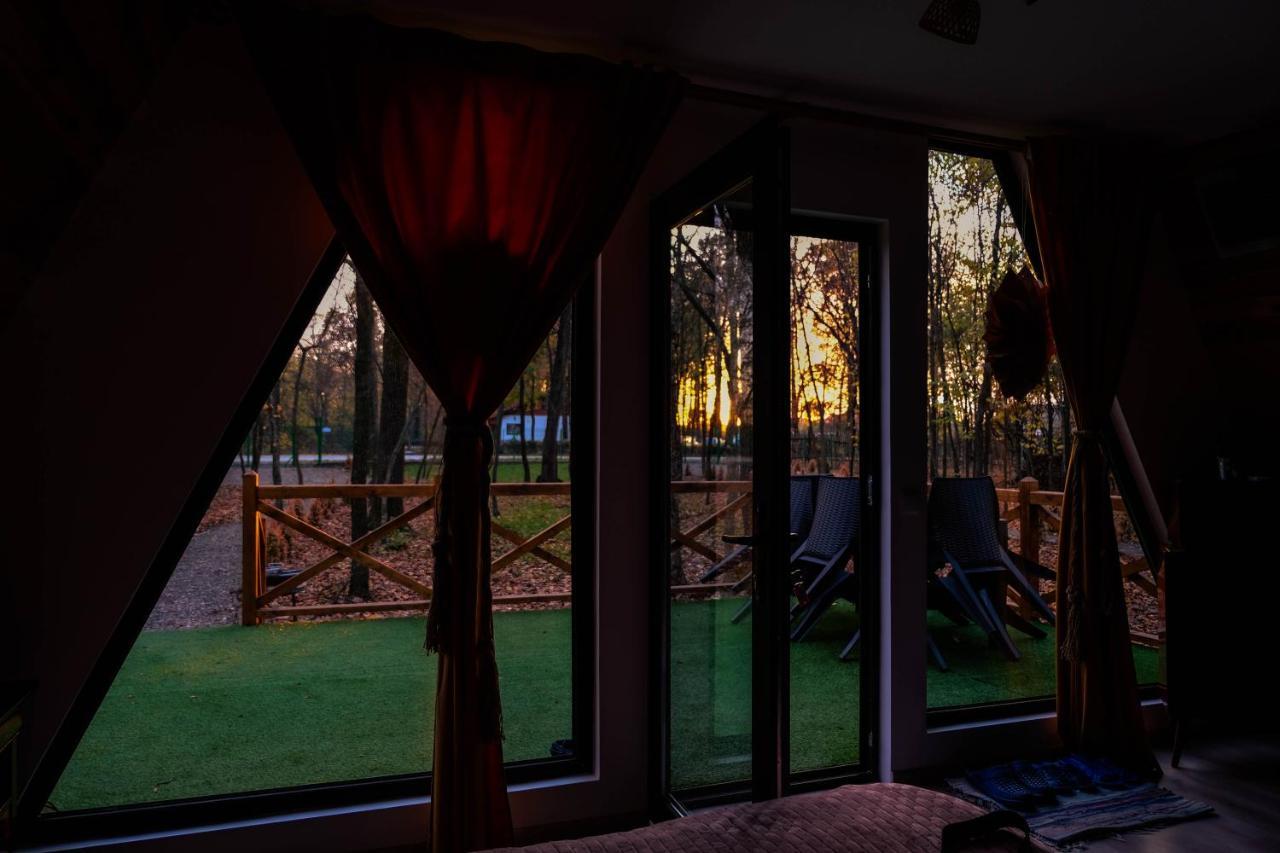 Artarica Villa Calugarenii  Dış mekan fotoğraf