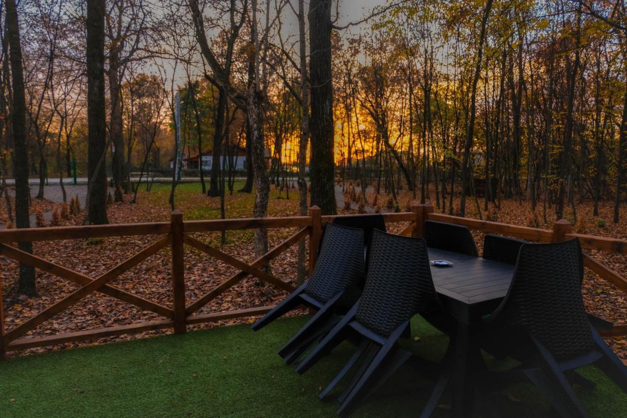 Artarica Villa Calugarenii  Dış mekan fotoğraf